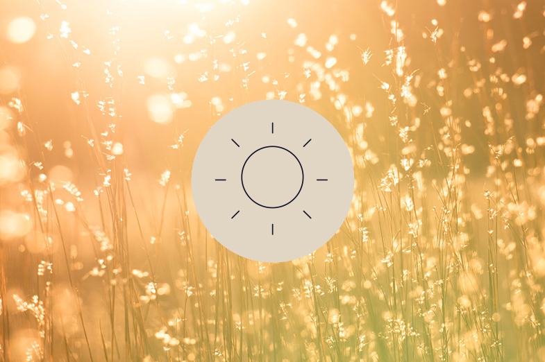 sonne-copy